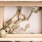 Halloween Decoration Outdoor 2 Pack Skeleton, 16" Plastic Posable Skeleton